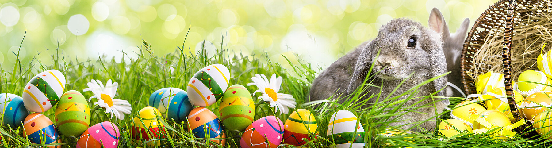 SLIDER-OEffnungszeiten_Ostern_2600x700px